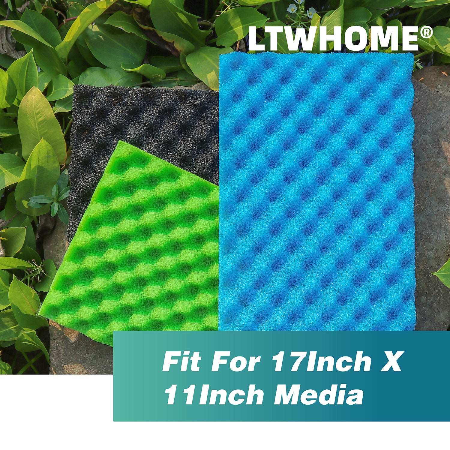 LTWHOME DIY 43x28.5x3cm Aquarium für Filterschwamm