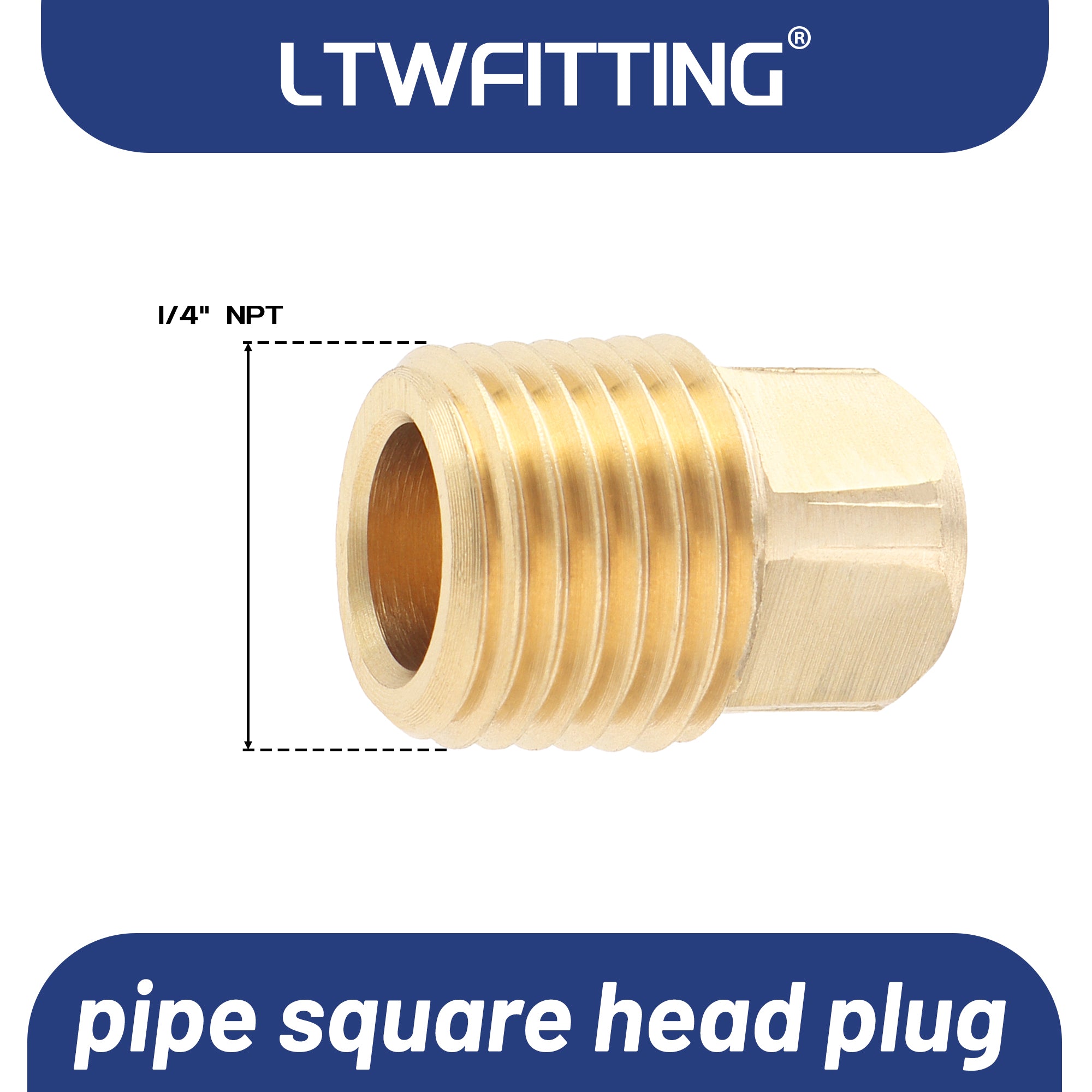 LTWFITTING Messing Fittings Stopfen mit Vierkant 1/4" IG Aussengewinde