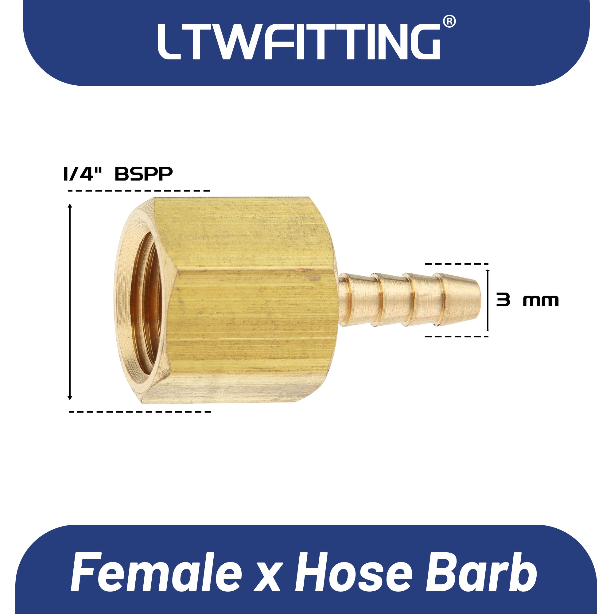 LTWFITTING Messing Fittings Anschluss 1/4" Innengewinde IG x 3 mm Schlauch