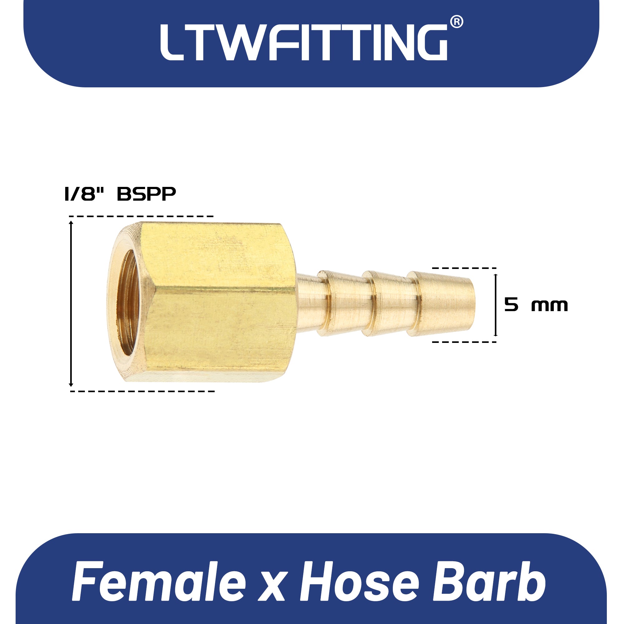 LTWFITTING Messing Fittings Anschluss 1/8" Innengewinde IG x 5 mm Schlauch