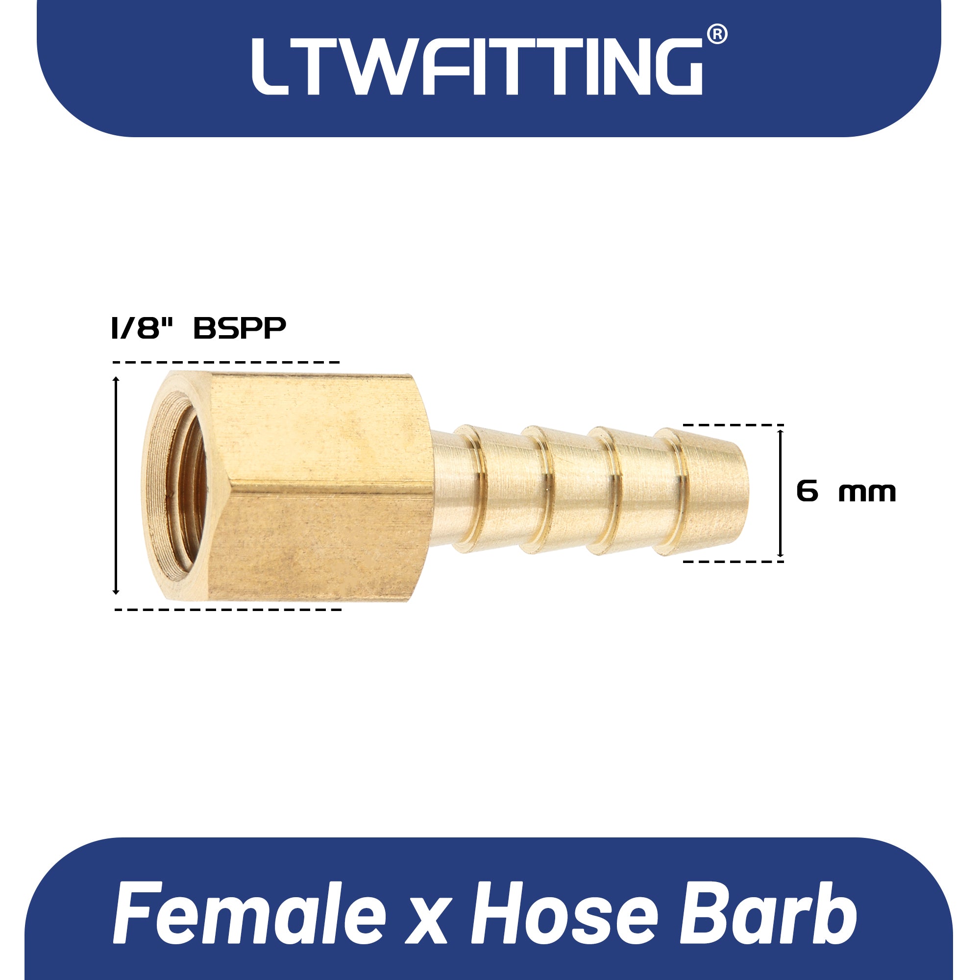 LTWFITTING Messing Fittings Anschluss 1/8" Innengewinde IG x 6 mm Schlauch