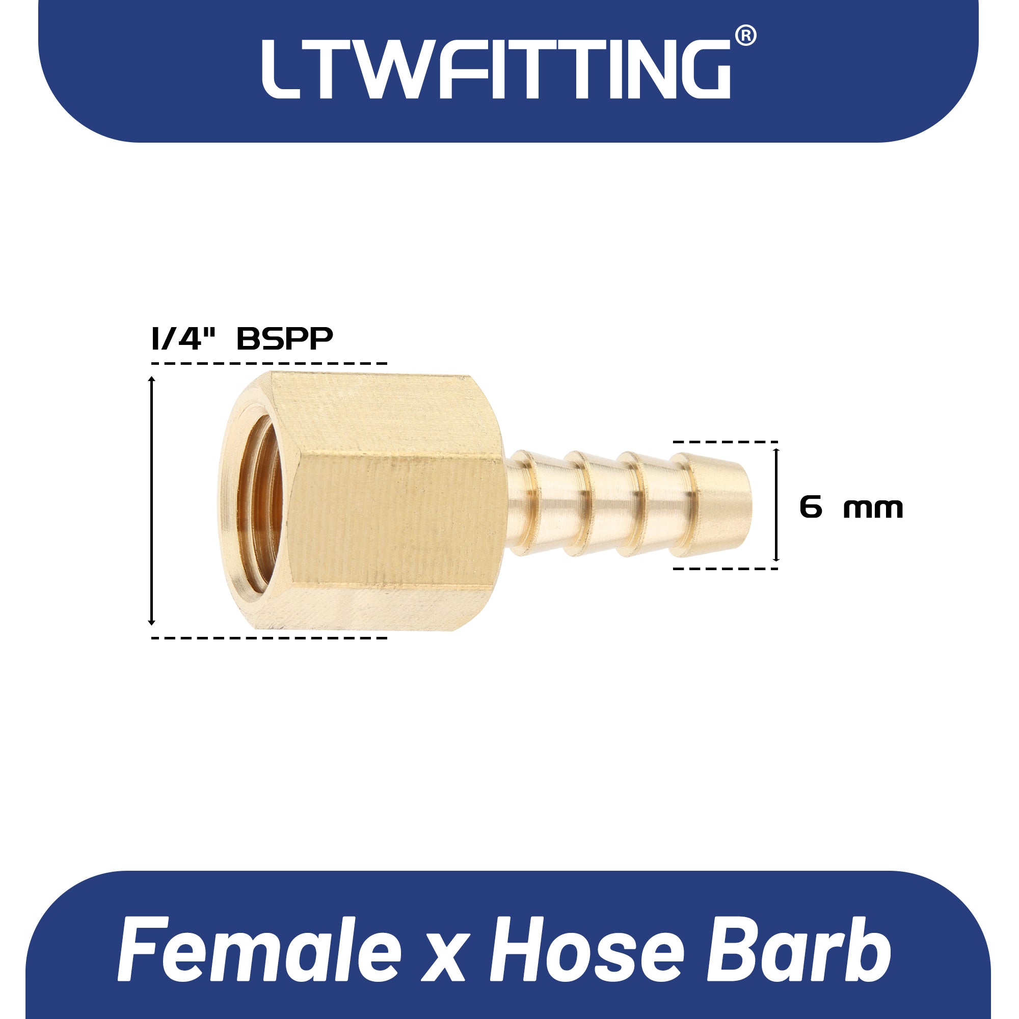 LTWFITTING Messing Fittings Anschluss 1/4" Innengewinde IG x 6 mm Schlauch