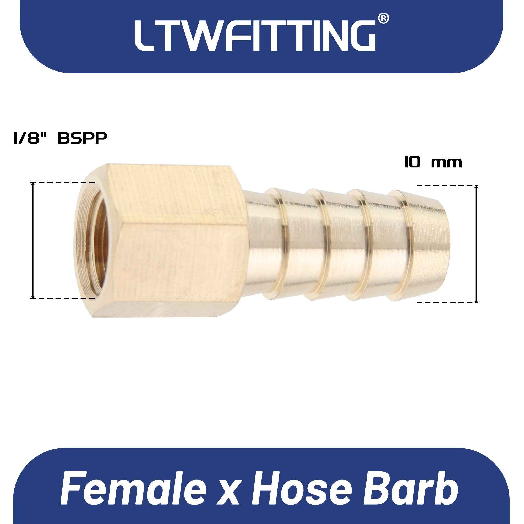 LTWFITTING Messing Fittings Anschluss 1/8" Innengewinde IG x 10 mm Schlauch