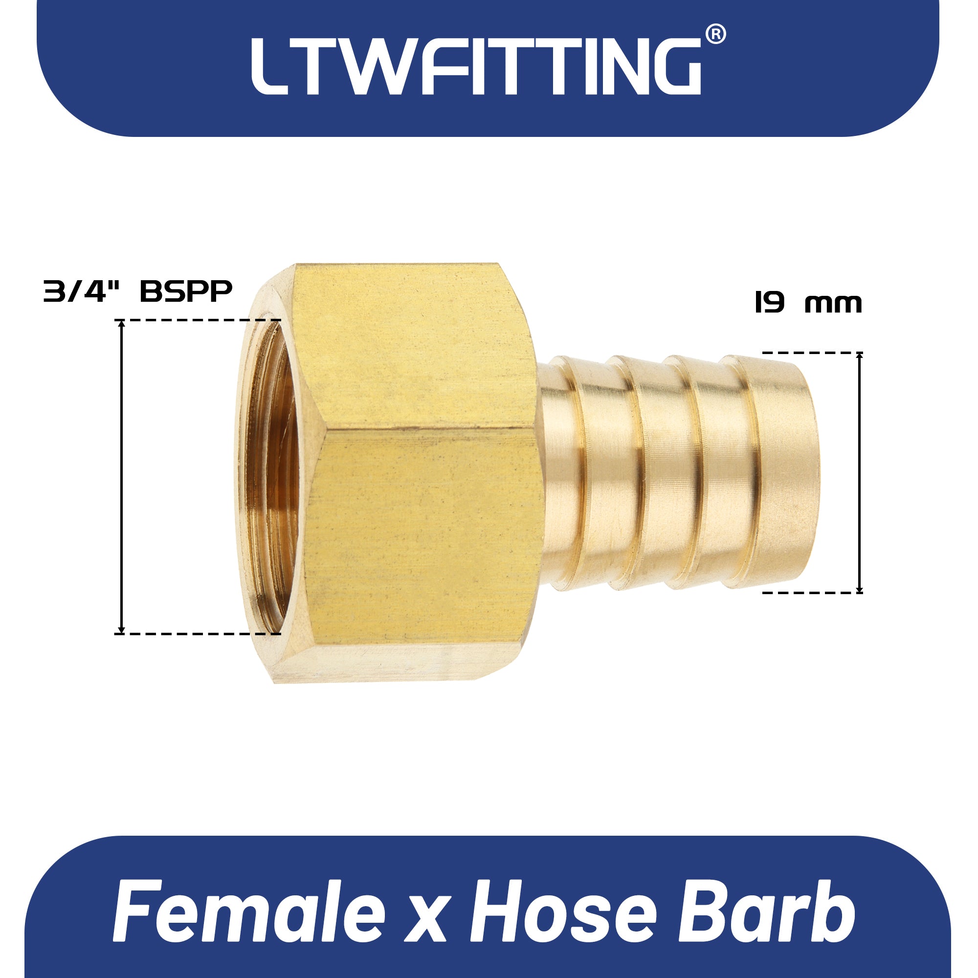 LTWFITTING Messing Fittings Anschluss 3/4" Innengewinde IG x 19 mm Schlauch