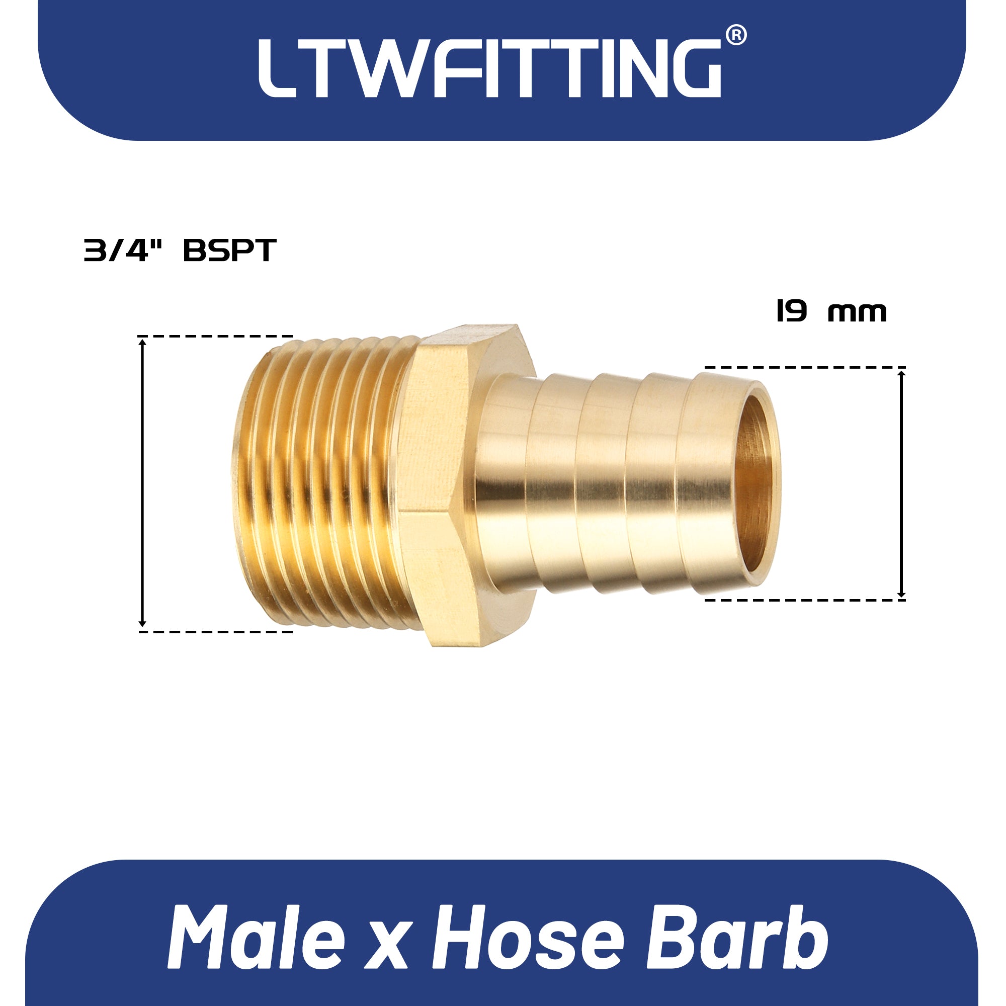 LTWFITTING Messing Fittings Anschluss 3/4" Außengewinde R x 19 mm Schlauch